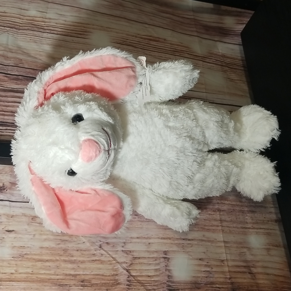 Teddy Mountain Rabbit - Picture 4 of 4